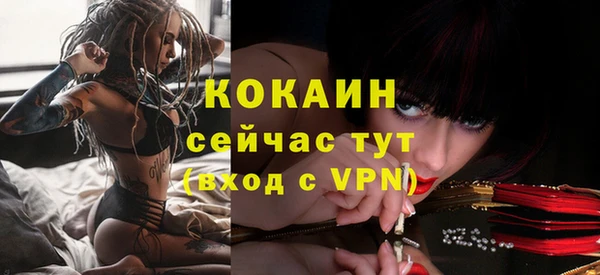 круглые Пересвет