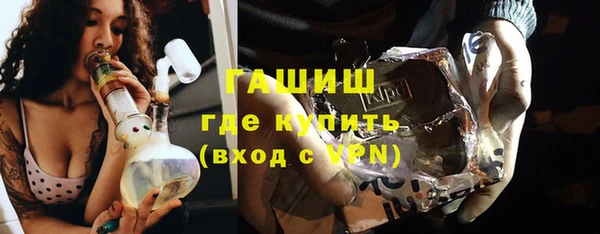 индика Пестово