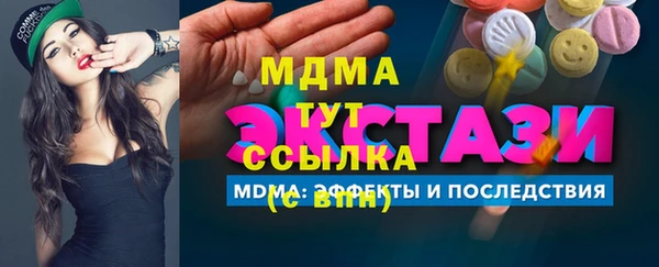индика Пестово