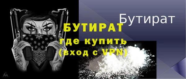 индика Пестово