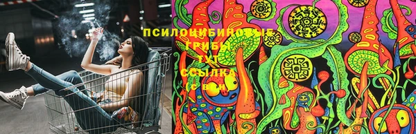 круглые Пересвет