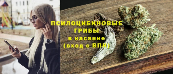 индика Пестово