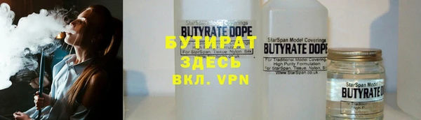 индика Пестово