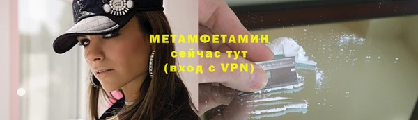 индика Пестово