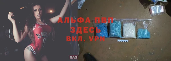 индика Пестово
