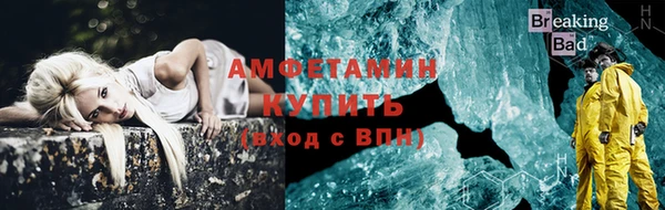 индика Пестово