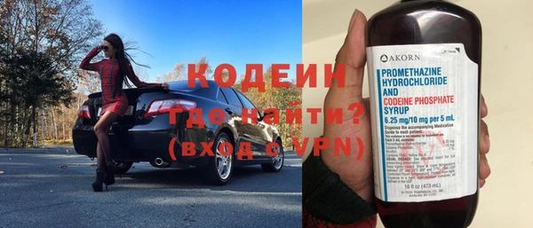индика Пестово