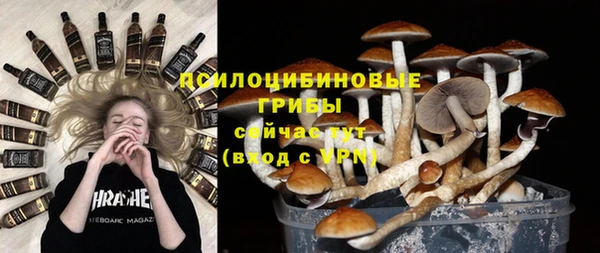 индика Пестово