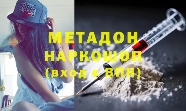 индика Пестово