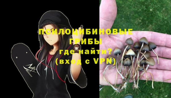 индика Пестово
