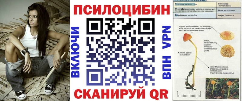 Псилоцибиновые грибы Cubensis  Горбатов 